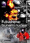 Fukushima. Tsunami Nuclear